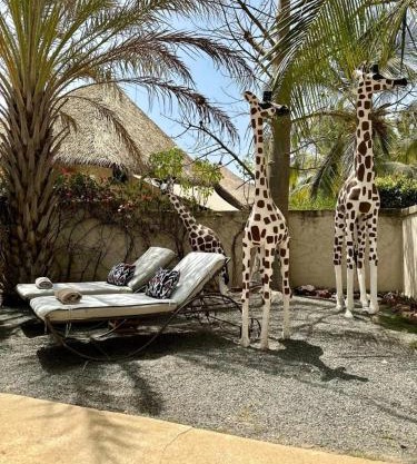 Agence Adjana Resort