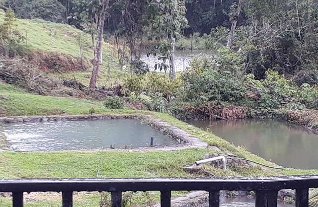 Agua Azul Lodging