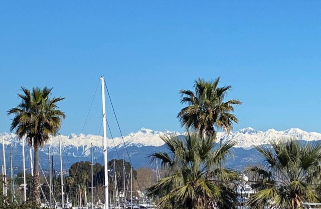 Air-conditioned apartment near Antibes port and old town