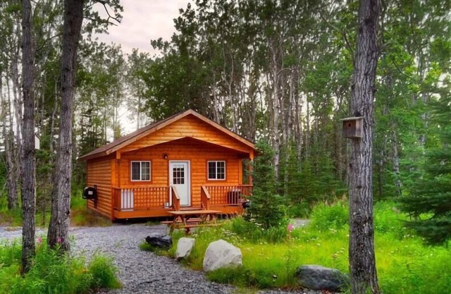 Alaska Summers Lodge Cabin No. 1