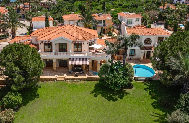 Albero Bella Villa 2