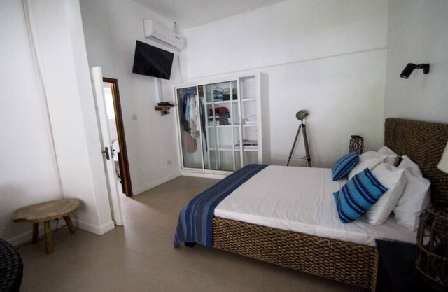 Albizia (Spacious)