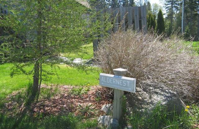 Aldernest Loft - Acadia Park/Mount Desert Island -walk across lawn down to shore