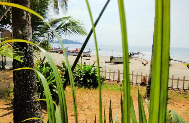 Alegro Beach Homes