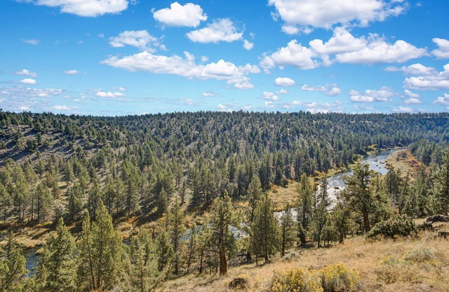 All the River Views- Best Deschutes views Dogs Welcome!