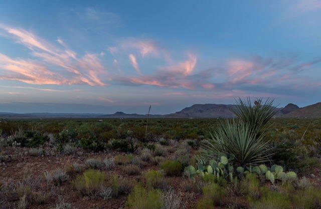 ALMA RANCH ~ ALMA 1~