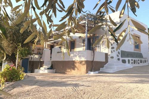 Aloe House