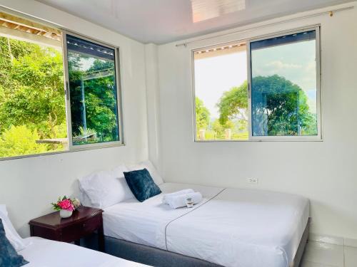 amanecer entre trinos y alas