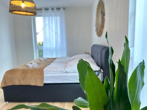 AMAO Grey - 86 m2 Apartment - Balcony - King-Size Beds - Free Parking - Near Europa-Park - Up to 12 Guests with 2 Units