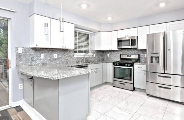 Amazing Washington DC Metro Townhouse