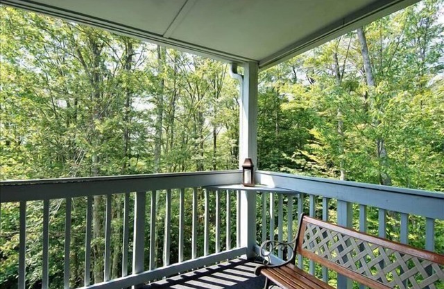 Amazingly affordable lodging in the center of Canaan Valley!