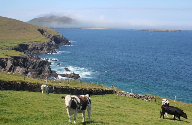 An Searrach Holiday Home Dingle