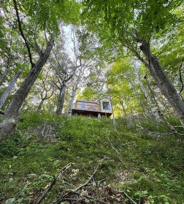 Ananda - Enchanted Forest Hideaway