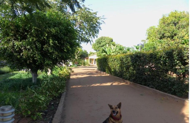 Ancha's Oasis