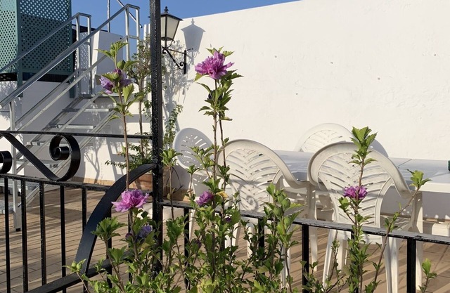 ANDALOUSIAN HOUSE WITH PATIO AND TERRACE-ROOF