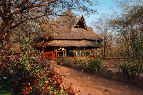 Angalia Tented Camp