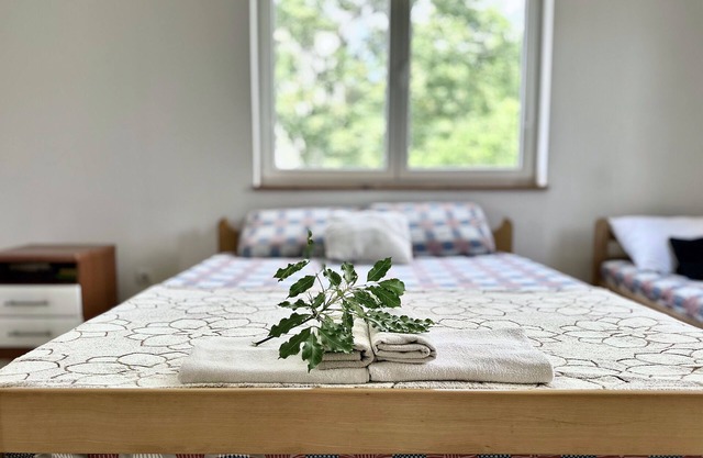 Anit Room 1-private 1-room with own entrance and private bathroom