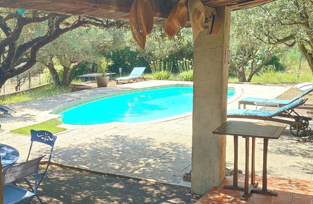 Anita's gîte in the olive groves