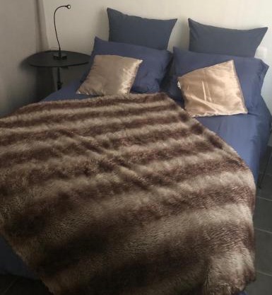 Anne Sophie Chambre chez lhabitant