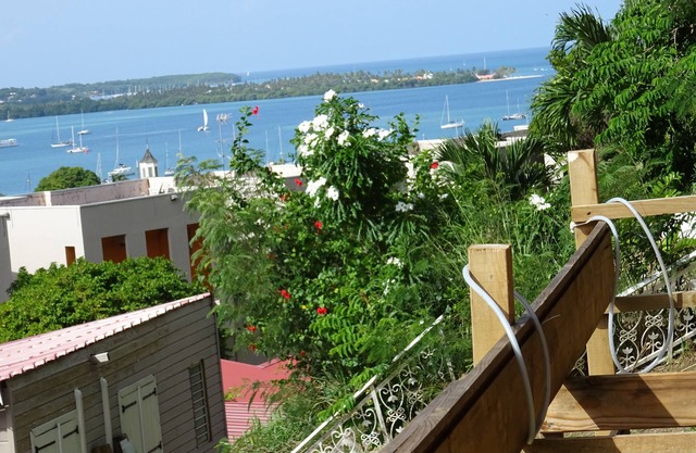 "Anthuriums of Midi": a shine of Antilles to Marin in MARTINIQUE