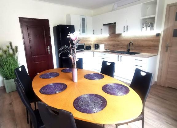 Apartament Zdrojowy pod Kasztanami