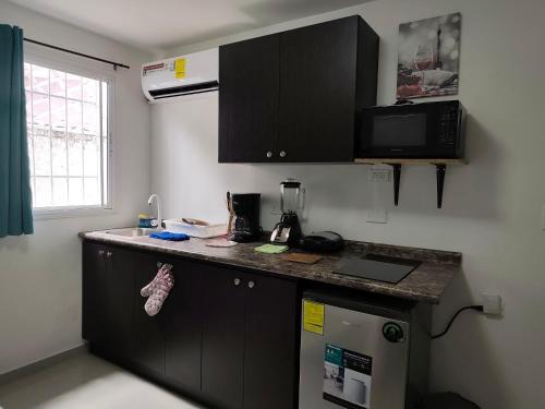 apartamentito tipo estudio AMUEBLADO tranquilo y acogedor cocina y baño privado independiente en CHANIS cerca de Costa del este