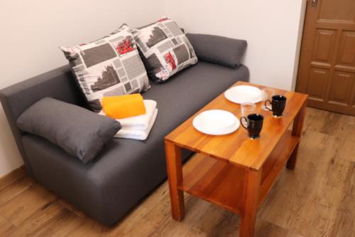 Apartamenty Zator Energy Rest