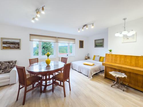 Apartmán u Rádi - Desná v Jizerských horách