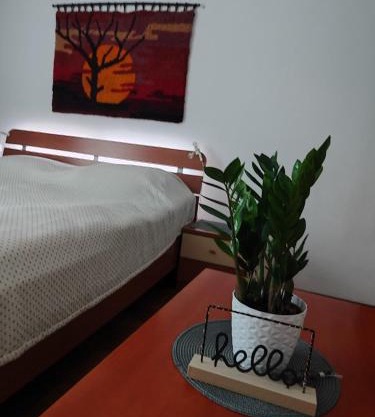 Apartma Marko Rogaška