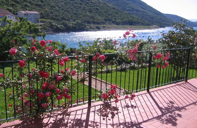 Apartmani Tia