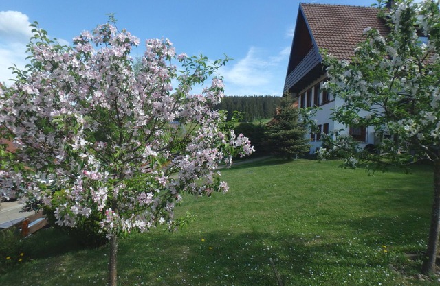 Apartment '2 Zimmer Ferienwohnung' with Shared Terrace, Shared Garden and Wi-Fi