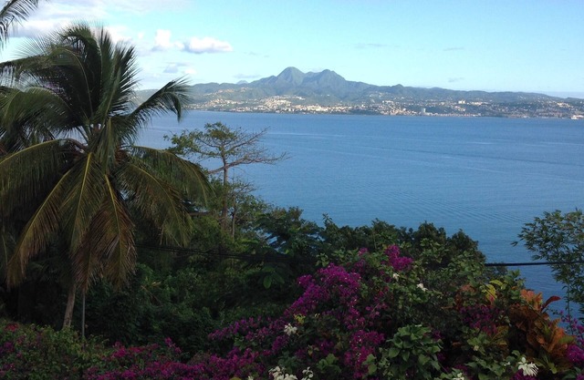 APARTMENT 40M2 WITH SEA VIEW OF THE CARIBBEAN AND TERRACE