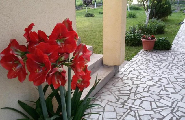Apartment Anastasija