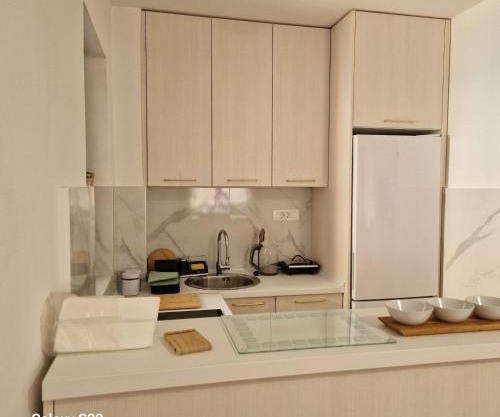 Apartment Anika