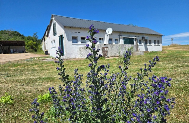 Apartment at the country house