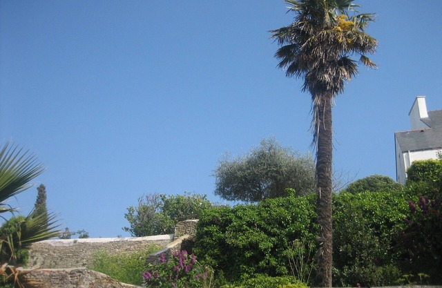 Apartment Belle Île