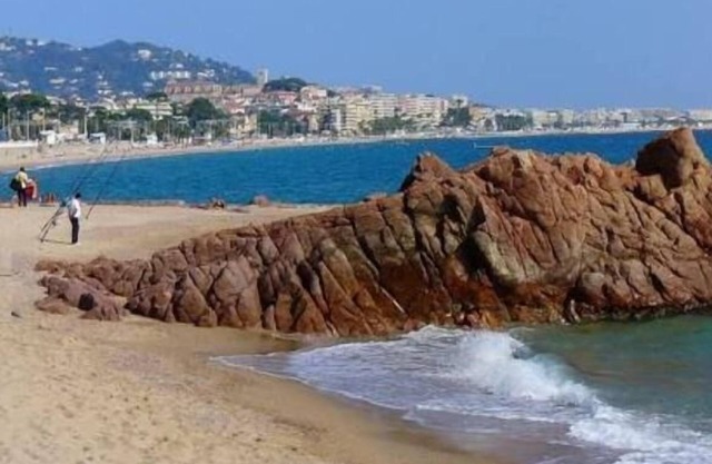 Apartment/flat - Cannes