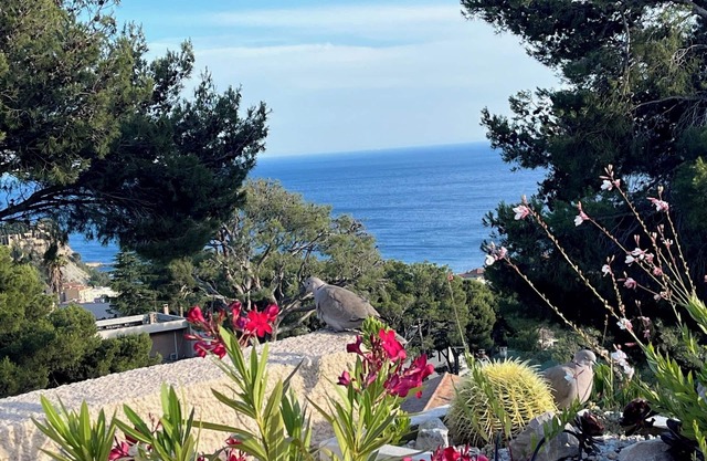 Apartment/flat - Cassis