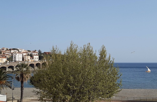 Apartment/flat - Banyuls sur mer