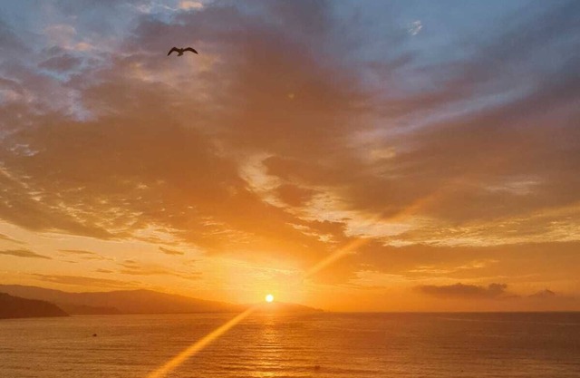 APARTMENT FRONTLINE BEACH . SEAVIEW