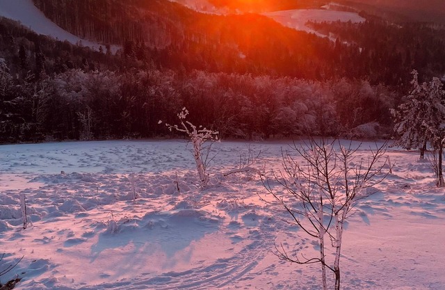Apartment in the heart of the High Vosges!