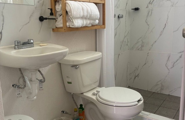 Apartment in the jungle of Tulum! only 8 minutes from downtown and 30 minutes from the beach.