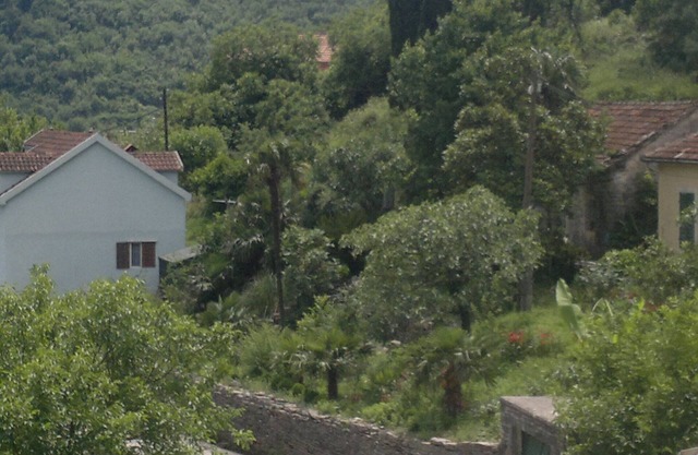 Apartment in Zelenika, 3-4km close to Herceg Novi. Wi - Fi, Parking place