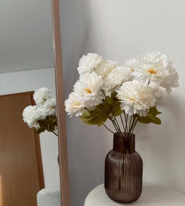 Apartment Lena Mostar