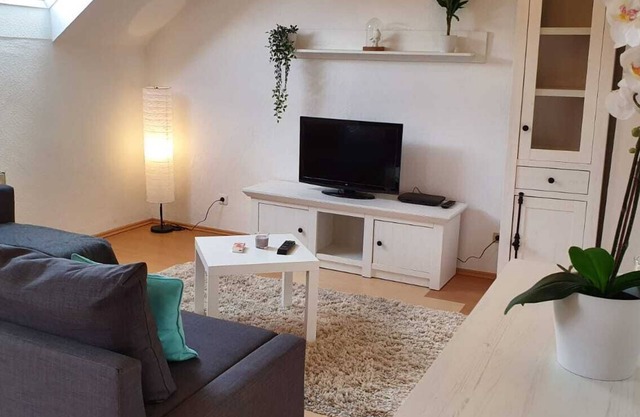 Apartment Leo near train station and city