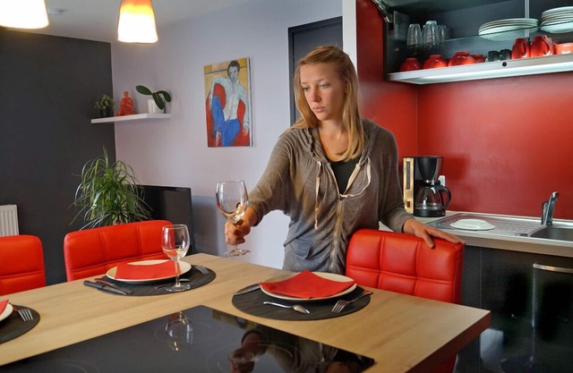 Apartment "les Demoiselles" - Lille - Villeneuve dAscq