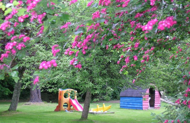 Apartment located in the park in the countryside