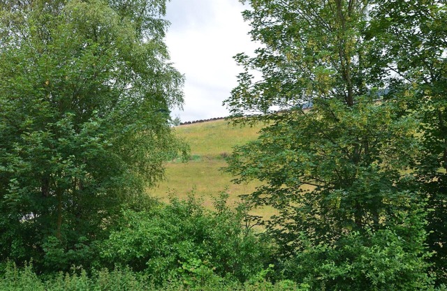 Apartment near ski resort in Olsberg