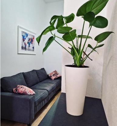 Apartment ORY 2 between the beach and city center