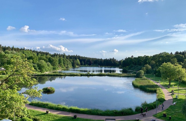Apartment Seeblick am Bocksberg